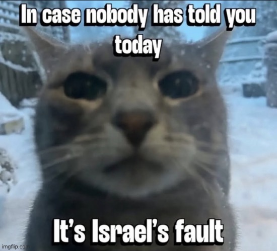 In case if nobody has told you today, it’s Israel’s fault | image tagged in in case if nobody has told you today it s israel s fault | made w/ Imgflip meme maker