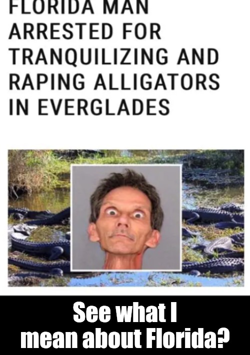 See what I mean about Florida? | made w/ Imgflip meme maker
