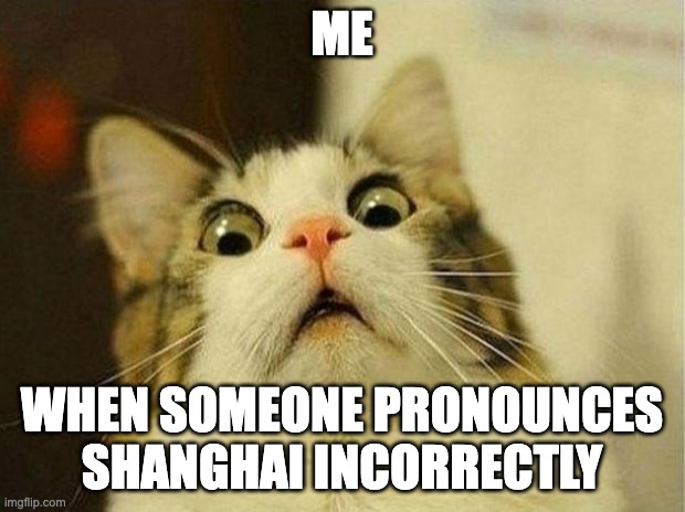 It's pronounced Shaang (as in pong) hai | ME; WHEN SOMEONE PRONOUNCES SHANGHAI INCORRECTLY | image tagged in memes,scared cat,pronunciation,china,english,chinese | made w/ Imgflip meme maker