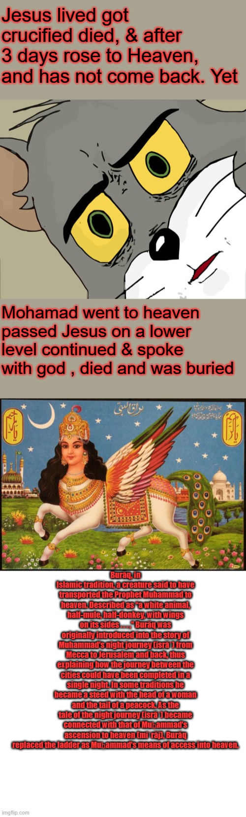 Educate yourself, Libs will not educate you | Jesus lived got crucified died, & after 3 days rose to Heaven, and has not come back. Yet; Mohamad went to heaven passed Jesus on a lower level continued & spoke with god , died and was buried; Burāq, in Islamic tradition, a creature said to have transported the Prophet Muhammad to heaven. Described as “a white animal, half-mule, half-donkey, with wings on its sides . . . ,” Burāq was originally introduced into the story of Muhammad’s night journey (isrāʾ) from Mecca to Jerusalem and back, thus explaining how the journey between the cities could have been completed in a single night. In some traditions he became a steed with the head of a woman and the tail of a peacock. As the tale of the night journey (isrāʾ) became connected with that of Muḥammad’s ascension to heaven (miʿrāj), Burāq replaced the ladder as Muḥammad’s means of access into heaven. | image tagged in memes,unsettled tom,blank transparent square | made w/ Imgflip meme maker