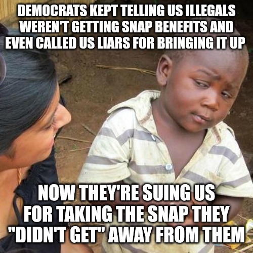 The fraud in Washington is real and it is rampant. | DEMOCRATS KEPT TELLING US ILLEGALS WEREN'T GETTING SNAP BENEFITS AND EVEN CALLED US LIARS FOR BRINGING IT UP; NOW THEY'RE SUING US FOR TAKING THE SNAP THEY "DIDN'T GET" AWAY FROM THEM | image tagged in memes,third world skeptical kid,democrats,snap,illegal aliens,fraud | made w/ Imgflip meme maker