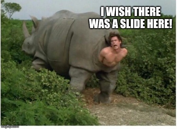Hot Rhino | I WISH THERE WAS A SLIDE HERE! | image tagged in hot rhino | made w/ Imgflip meme maker