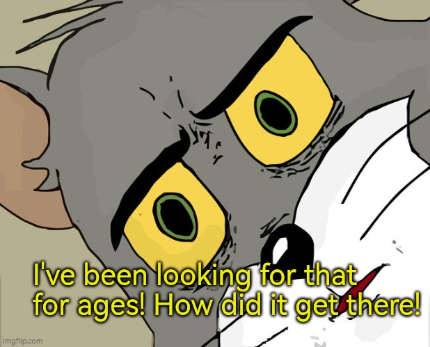 I've been looking for that for ages! How did it get there! | I've been looking for that for ages! How did it get there! | image tagged in memes,finding,autism,frustration,relief | made w/ Imgflip meme maker