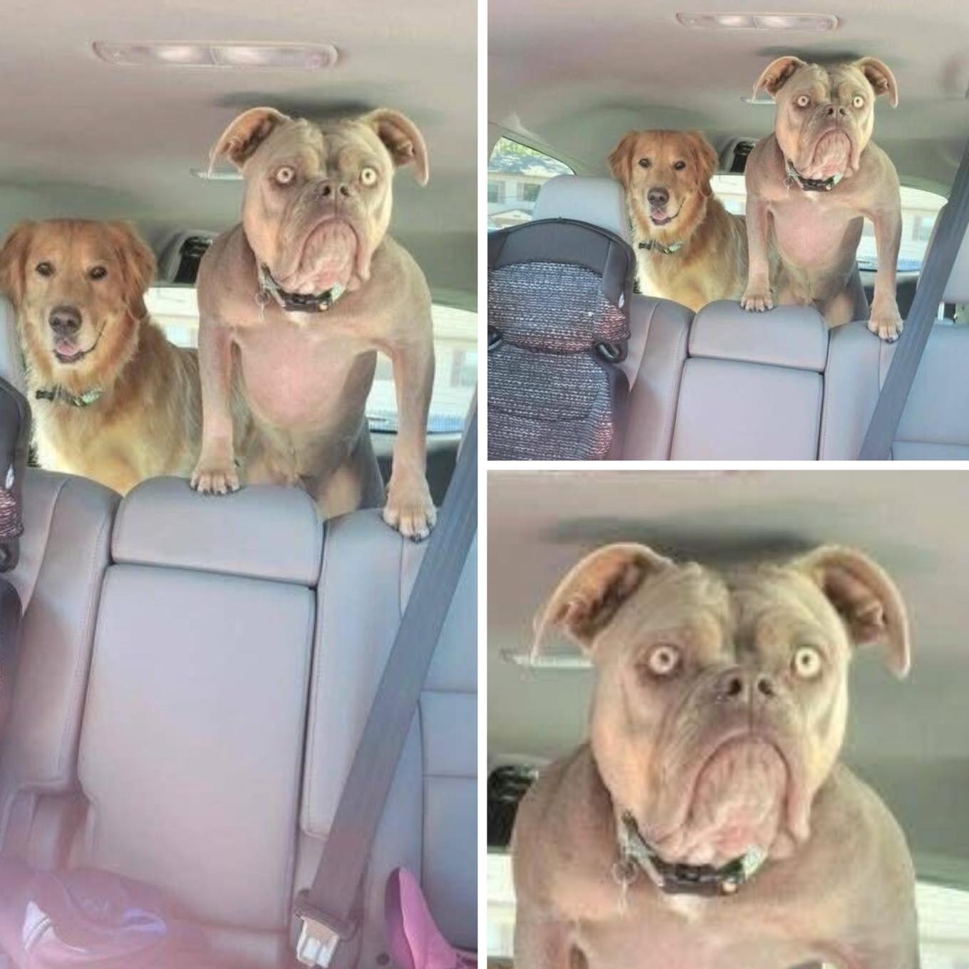 twokindsofstudents Blank Meme Template