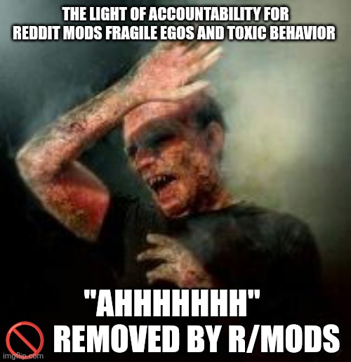 Forbidden Meme on Reddit | THE LIGHT OF ACCOUNTABILITY FOR REDDIT MODS FRAGILE EGOS AND TOXIC BEHAVIOR; "AHHHHHHH"
🚫 REMOVED BY R/MODS | image tagged in sunlight burning vampire | made w/ Imgflip meme maker