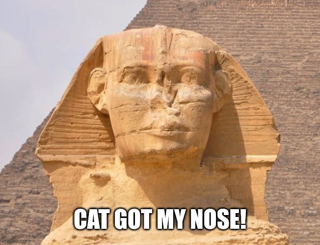 Sphinx | CAT GOT MY NOSE! | image tagged in sphinx | made w/ Imgflip meme maker