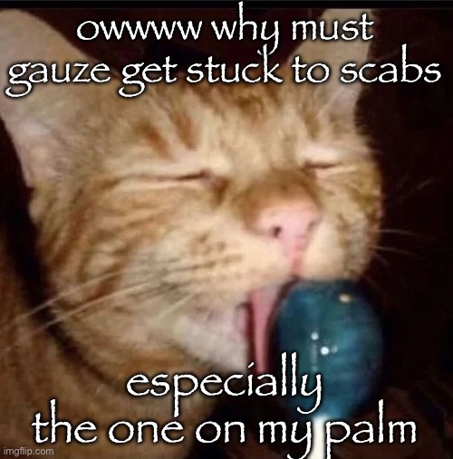 i felt the pain all up my arm and to my finger tips | owwww why must gauze get stuck to scabs; especially the one on my palm | image tagged in silly goober 2 | made w/ Imgflip meme maker