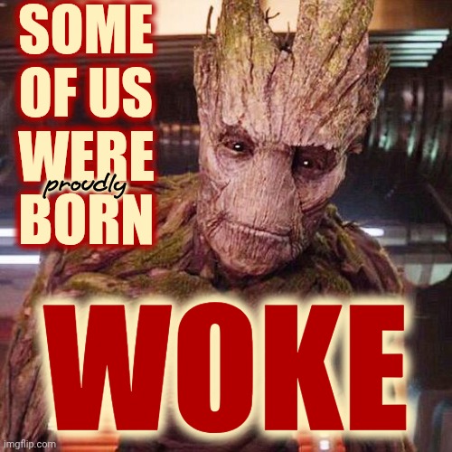 And, Clearly, Some Of Us Slept Through Orientation | SOME OF US; WERE BORN; proudly; WOKE | image tagged in groot guardians of the galaxy,memes,woke,the great awakening,wake up,awake | made w/ Imgflip meme maker