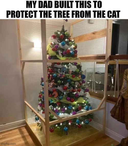 My Dad Built This To Protect The Tree From The Cat | MY DAD BUILT THIS TO PROTECT THE TREE FROM THE CAT | image tagged in chrisjoines1 | made w/ Imgflip meme maker