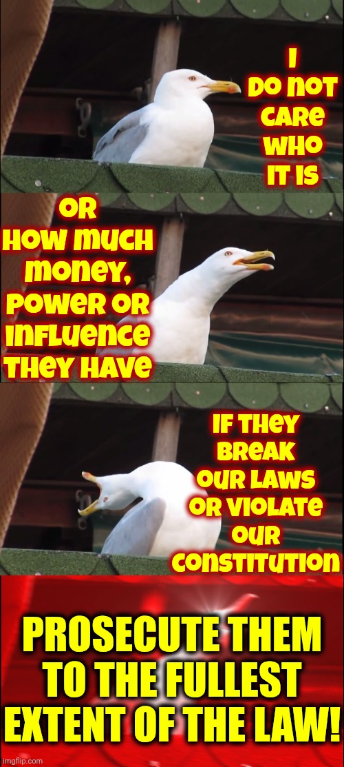 Man, Woman, Young, Old, Rich Or Poor.  Most Of Us Don't Have Any Problem Following The Law ... So Lock Up Those That Do | I do not care who it is; or how much money, power or influence they have; If they break our laws or violate our constitution; PROSECUTE THEM TO THE FULLEST EXTENT OF THE LAW! | image tagged in memes,inhaling seagull,lock him up,lock her up,lock them all up,lock up all law breakers | made w/ Imgflip meme maker
