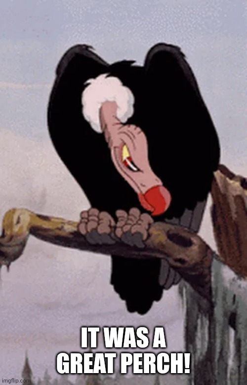 IT WAS A GREAT PERCH! | image tagged in looming vulture | made w/ Imgflip meme maker