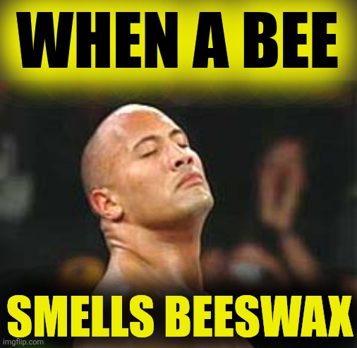 The Rock Smelling | WHEN A BEE; SMELLS BEESWAX | image tagged in the rock smelling | made w/ Imgflip meme maker