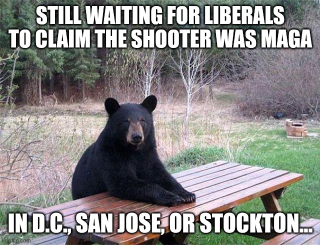 gun control laws fail yet again | STILL WAITING FOR LIBERALS TO CLAIM THE SHOOTER WAS MAGA; IN D.C., SAN JOSE, OR STOCKTON... | image tagged in waiting bear,political meme,california,stupid liberals | made w/ Imgflip meme maker