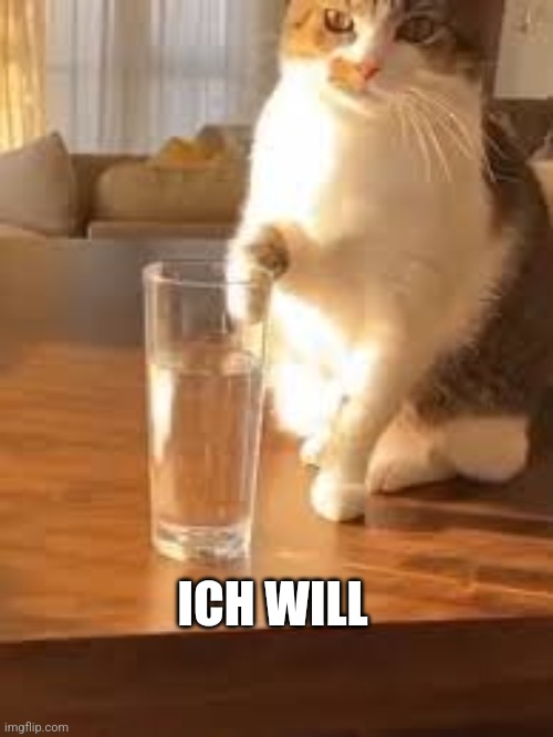 Cat with a glass of water | ICH WILL | image tagged in cat with a glass of water | made w/ Imgflip meme maker