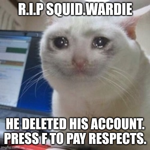 Crying cat | R.I.P SQUID.WARDIE; HE DELETED HIS ACCOUNT. PRESS F TO PAY RESPECTS. | image tagged in crying cat | made w/ Imgflip meme maker