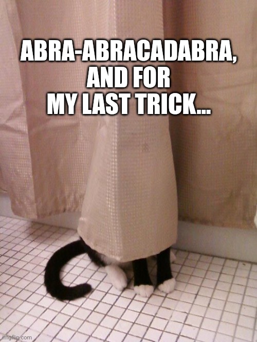 Cat hiding behind curtain | ABRA-ABRACADABRA, AND FOR MY LAST TRICK... | image tagged in cat hiding behind curtain | made w/ Imgflip meme maker