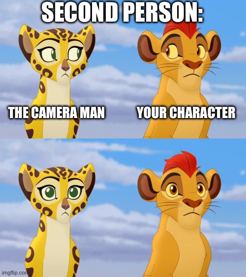 SECOND PERSON: THE CAMERA MAN YOUR CHARACTER | image tagged in kion and fuli side-eye | made w/ Imgflip meme maker