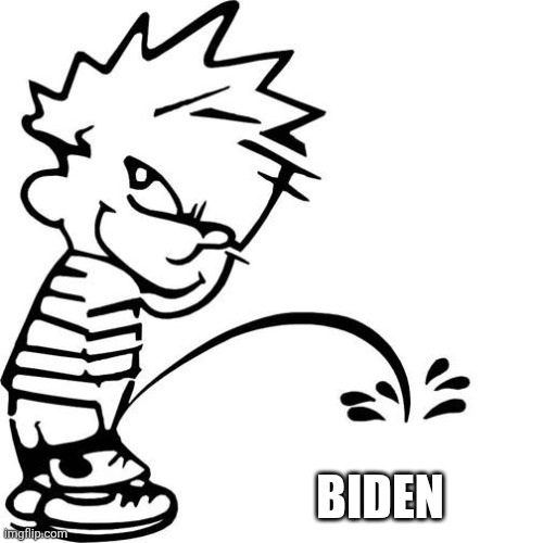 Calvin Peeing | BIDEN | image tagged in calvin peeing | made w/ Imgflip meme maker
