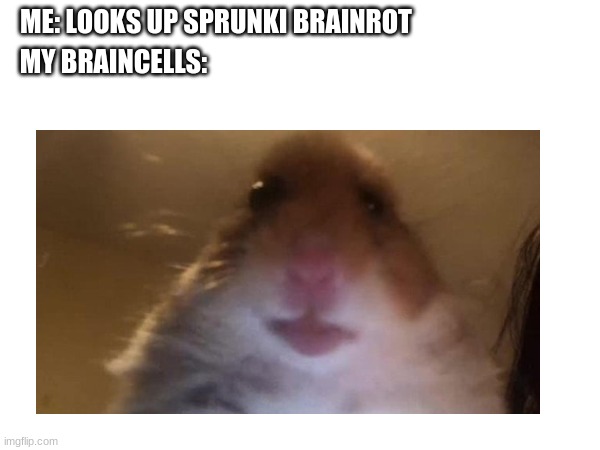 ME: LOOKS UP SPRUNKI BRAINROT; MY BRAINCELLS: | image tagged in sprunki,brainrot,hamster | made w/ Imgflip meme maker