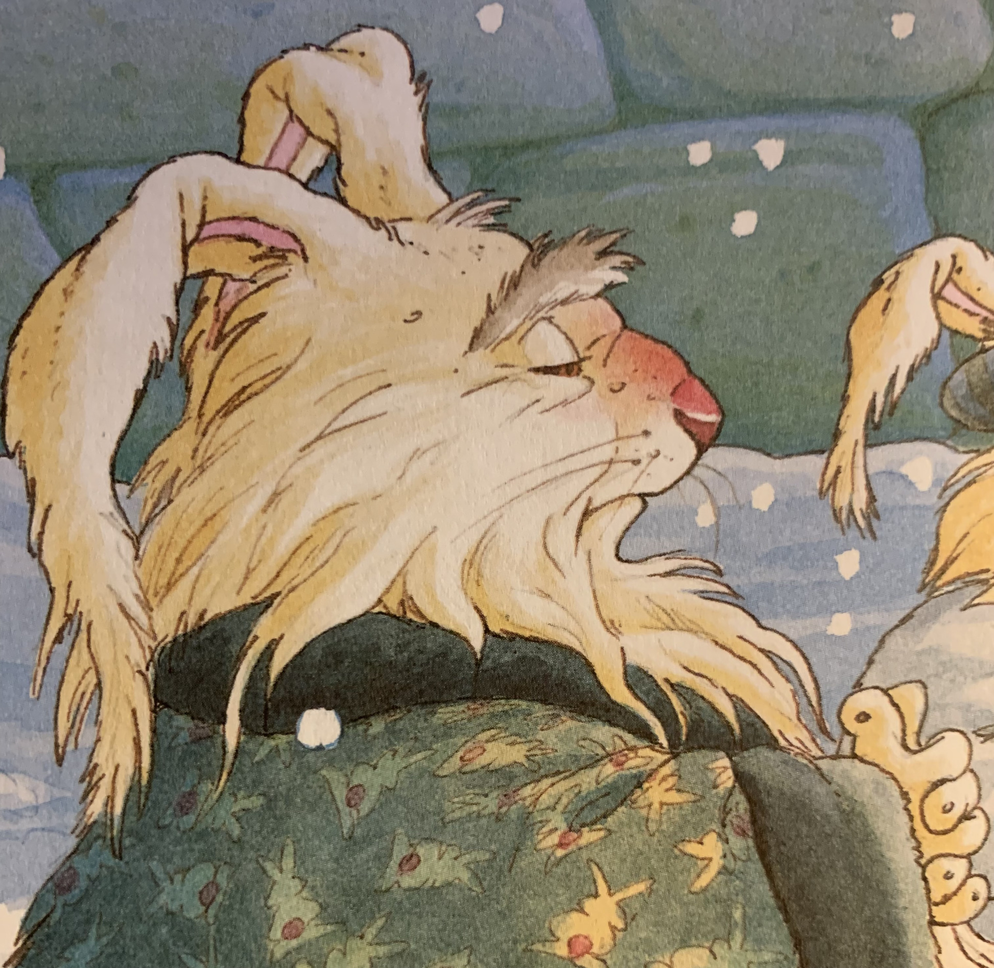 Old Rabbit Blank Meme Template