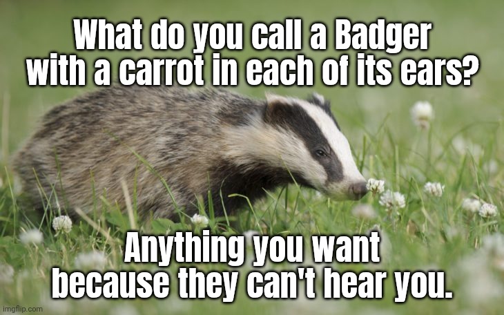 What do you call a Badger with a carrot in each of its ears? Anything you want because they can't hear you. | made w/ Imgflip meme maker