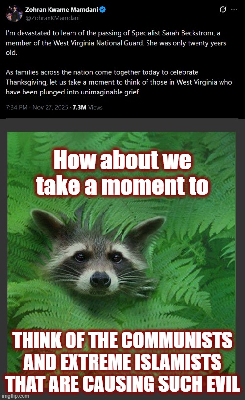 It would help if clueless Americans would grow a brain | How about we take a moment to; THINK OF THE COMMUNISTS AND EXTREME ISLAMISTS THAT ARE CAUSING SUCH EVIL | image tagged in politics,american politics,maga,mamdani,democratic socialism,communist socialist | made w/ Imgflip meme maker