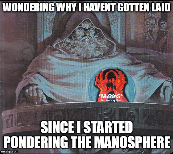 WONDERING WHY I HAVENT GOTTEN LAID; SINCE I STARTED PONDERING THE MANOSPHERE | made w/ Imgflip meme maker