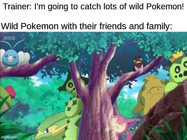 Think of the Pokemon | Trainer: I'm going to catch lots of wild Pokemon! Wild Pokemon with their friends and family: | image tagged in memes,funny,pokemon,anime | made w/ Imgflip meme maker