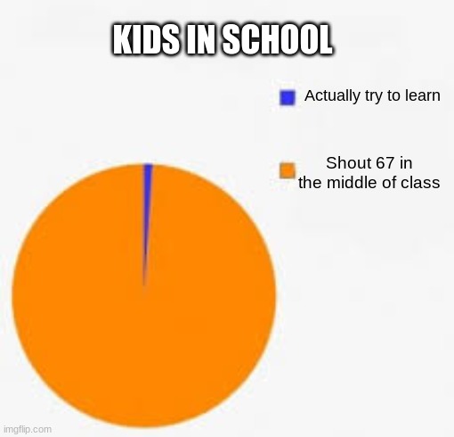 Pie Chart Meme | KIDS IN SCHOOL; Actually try to learn; Shout 67 in the middle of class | image tagged in pie chart meme,67,kids these days | made w/ Imgflip meme maker