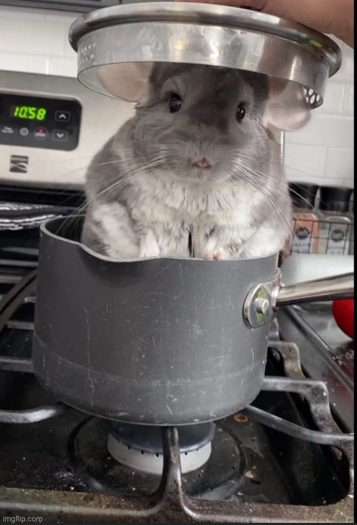 Bask in his glory | made w/ Imgflip meme maker