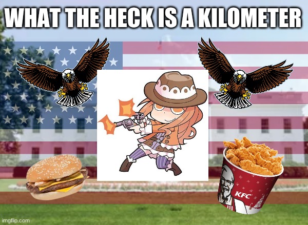 AMERICAAAAAAAAA!!!!!!!! | WHAT THE HECK IS A KILOMETER | image tagged in america,funny memes | made w/ Imgflip meme maker