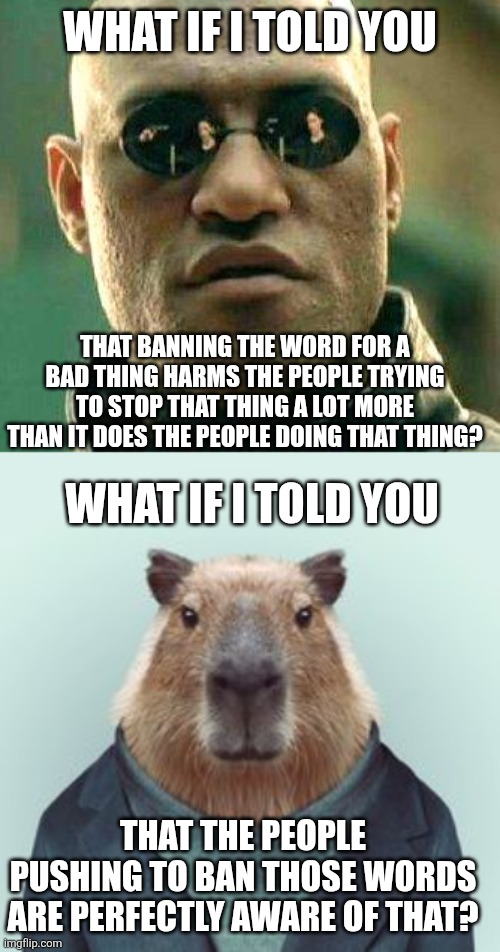 Quit bu11ying n@z!s though | WHAT IF I TOLD YOU; THAT BANNING THE WORD FOR A BAD THING HARMS THE PEOPLE TRYING TO STOP THAT THING A LOT MORE THAN IT DOES THE PEOPLE DOING THAT THING? WHAT IF I TOLD YOU; THAT THE PEOPLE PUSHING TO BAN THOSE WORDS ARE PERFECTLY AWARE OF THAT? | image tagged in what if i told you | made w/ Imgflip meme maker