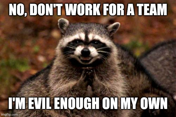 Evil Plotting Raccoon Meme | NO, DON'T WORK FOR A TEAM I'M EVIL ENOUGH ON MY OWN | image tagged in memes,evil plotting raccoon | made w/ Imgflip meme maker