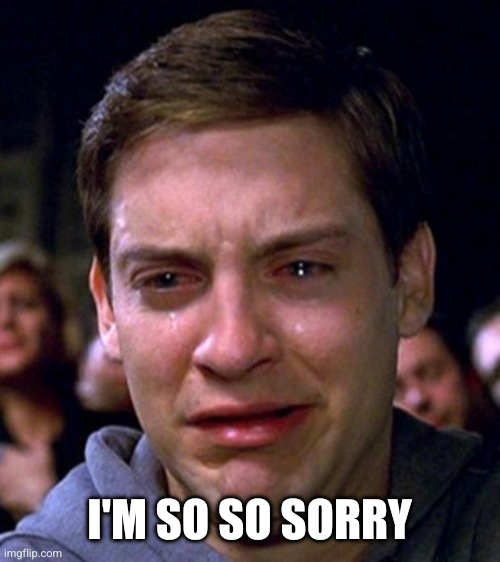 crying peter parker | I'M SO SO SORRY | image tagged in crying peter parker | made w/ Imgflip meme maker