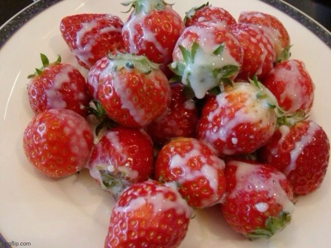 passed out like 3 times but here you go | made w/ Imgflip meme maker