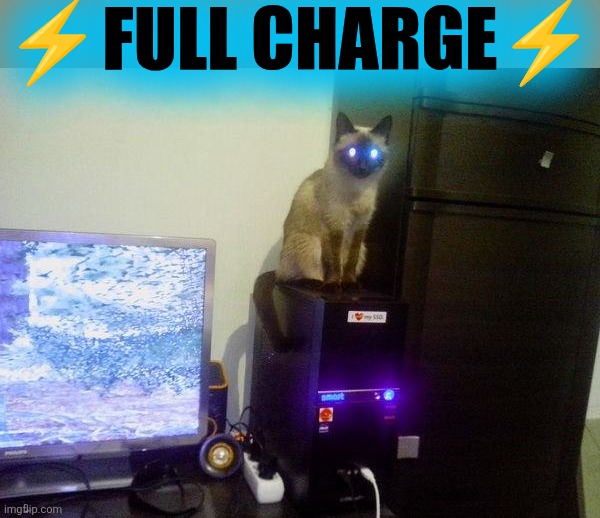 Internet Cat | ⚡FULL CHARGE⚡ | image tagged in internet cat | made w/ Imgflip meme maker