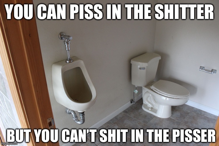 urinal+toilet | YOU CAN PISS IN THE SHITTER; BUT YOU CAN’T SHIT IN THE PISSER | image tagged in urinal toilet | made w/ Imgflip meme maker