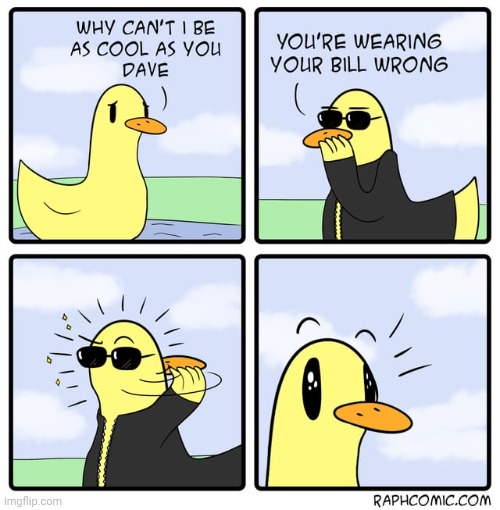 Dave Bill | image tagged in bill,dave,duck,ducks,comics,bills | made w/ Imgflip meme maker