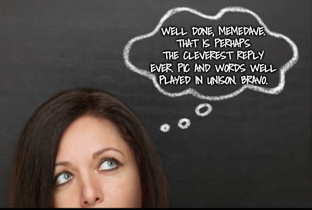 WELL DONE, MEMEDAVE. THAT IS PERHAPS THE CLEVEREST REPLY EVER. PIC AND WORDS WELL PLAYED IN UNISON. BRAVO. | image tagged in thought | made w/ Imgflip meme maker