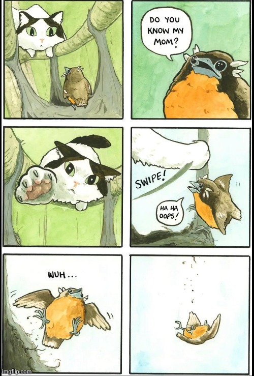 Darn it | image tagged in oops,mom,cat,bird,comics,cats | made w/ Imgflip meme maker