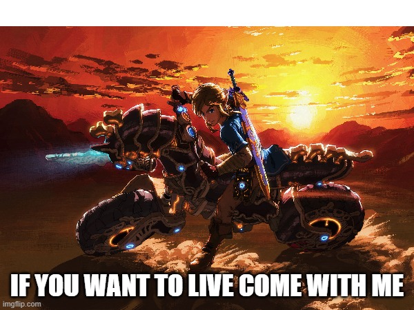 survival in a cool way | IF YOU WANT TO LIVE COME WITH ME | image tagged in come with me,oh yeah | made w/ Imgflip meme maker