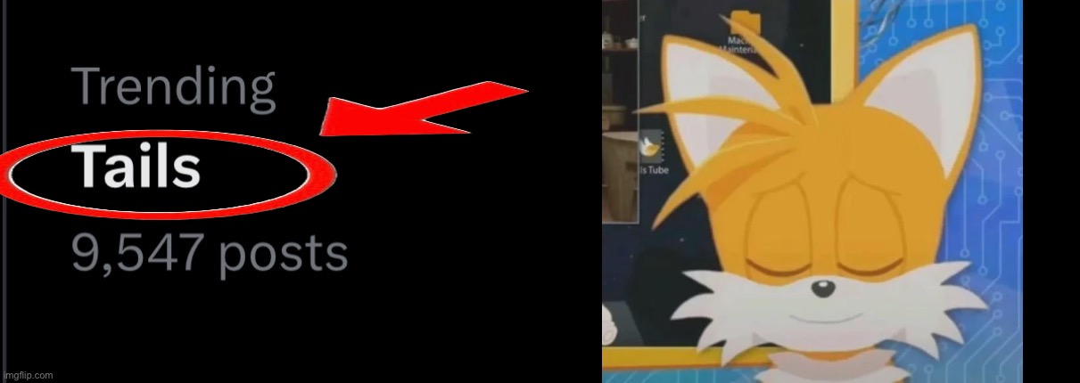 OMG TAILS IS TRENDING on twitter | image tagged in meme,tails the fox,tails,sonic,sonic the hedgehog | made w/ Imgflip meme maker