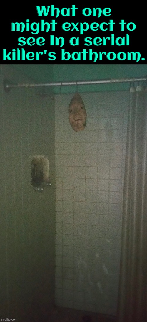 Serial Killer's Bathroom | What one might expect to see In a serial killer's bathroom. | image tagged in serial killer,bathroom,cursed images,what a terrible day to have eyes,excuse me wtf,nope | made w/ Imgflip meme maker
