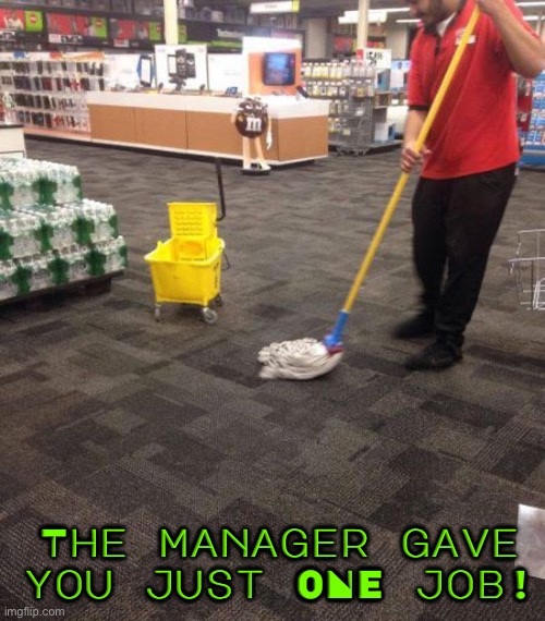 Mopping Carpet? | The manager gave you just ONE job! | image tagged in you had one job just the one,you had one job,you're fired,excuse me what the frick,task failed successfully,duhhh dumbass | made w/ Imgflip meme maker