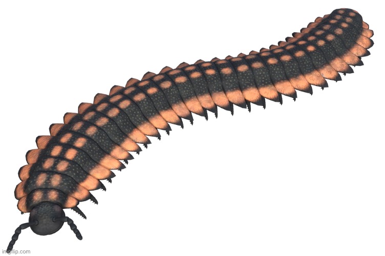 Arthropleura | image tagged in arthropleura | made w/ Imgflip meme maker
