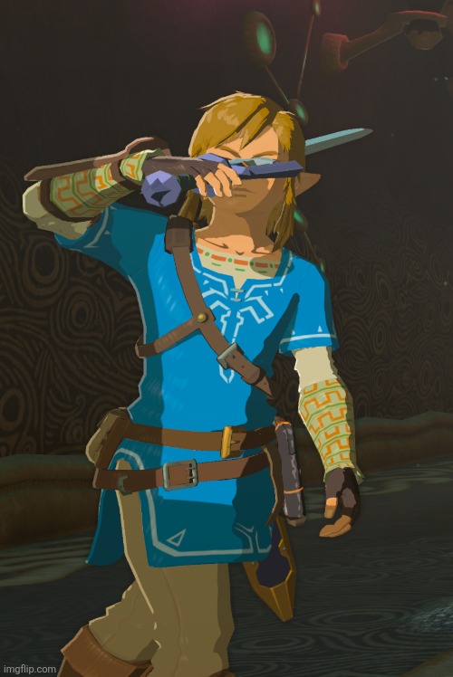 Link | image tagged in link | made w/ Imgflip meme maker