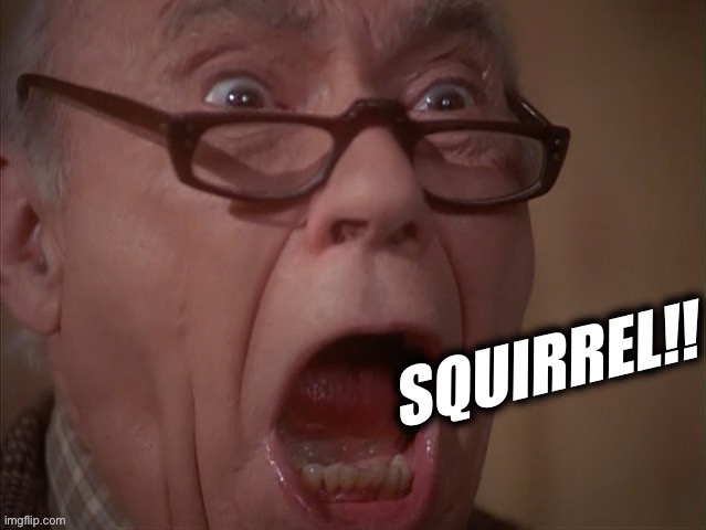 National Lampoon’s Christmas Vacation Squirrel Scene | image tagged in squirrel,christmas,christmas vacation | made w/ Imgflip meme maker