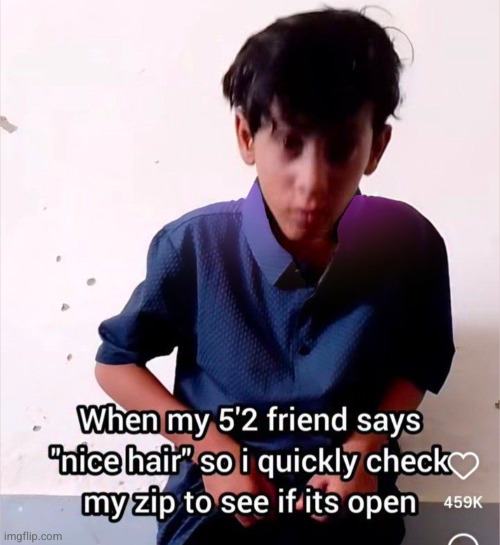 it sure ain't that hair | image tagged in funny,balls,hair,zipper,friend,short | made w/ Imgflip meme maker