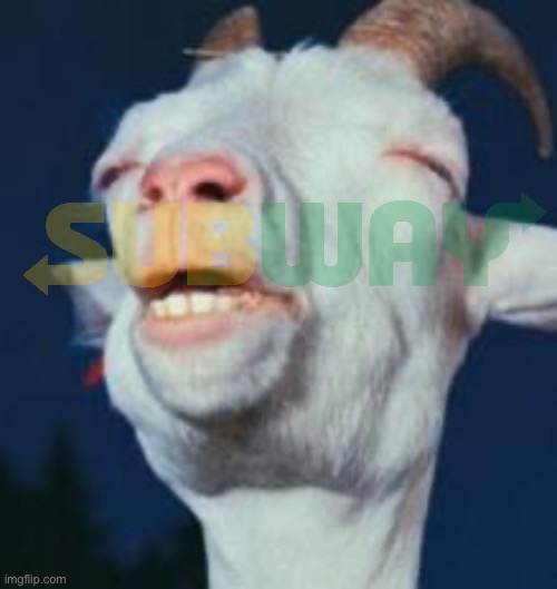 goat | image tagged in goat | made w/ Imgflip meme maker
