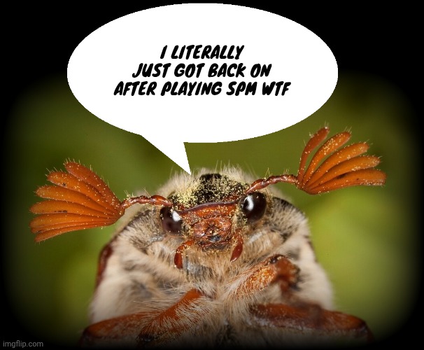 Doodlebug/odd announcement temp | I LITERALLY JUST GOT BACK ON AFTER PLAYING SPM WTF | image tagged in doodlebug/odd announcement temp | made w/ Imgflip meme maker